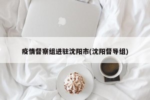 疫情督察组进驻沈阳市(沈阳督导组)