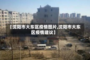 【沈阳市大东区疫情图片,沈阳市大东区疫情建议】