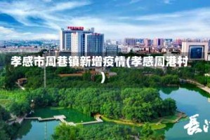 孝感市周巷镇新增疫情(孝感周港村)