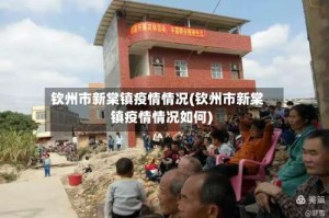 钦州市新棠镇疫情情况(钦州市新棠镇疫情情况如何)