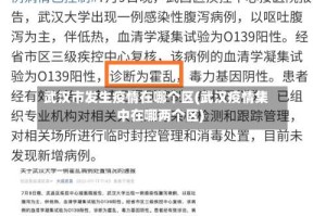 武汉市发生疫情在哪个区(武汉疫情集中在哪两个区)