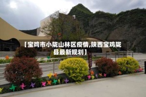 【宝鸡市小陇山林区疫情,陕西宝鸡陇县最新规划】