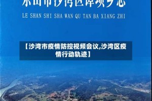 【沙湾市疫情防控视频会议,沙湾区疫情行动轨迹】
