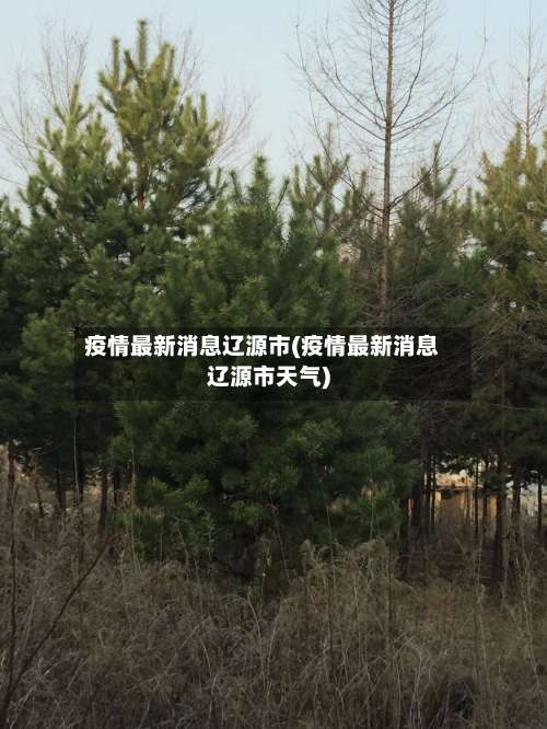 疫情最新消息辽源市(疫情最新消息辽源市天气)-第1张图片