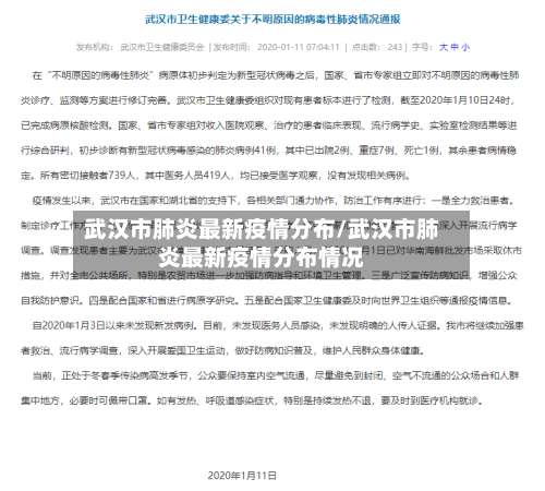 武汉市肺炎最新疫情分布/武汉市肺炎最新疫情分布情况-第1张图片