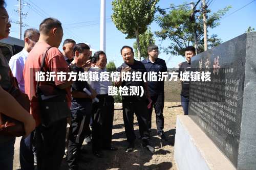 临沂市方城镇疫情防控(临沂方城镇核酸检测)-第3张图片