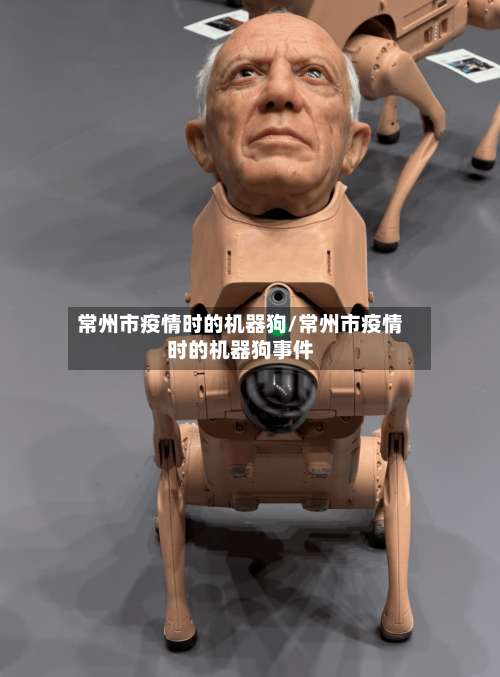 常州市疫情时的机器狗/常州市疫情时的机器狗事件-第2张图片