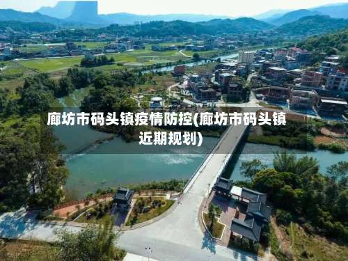 廊坊市码头镇疫情防控(廊坊市码头镇近期规划)-第1张图片