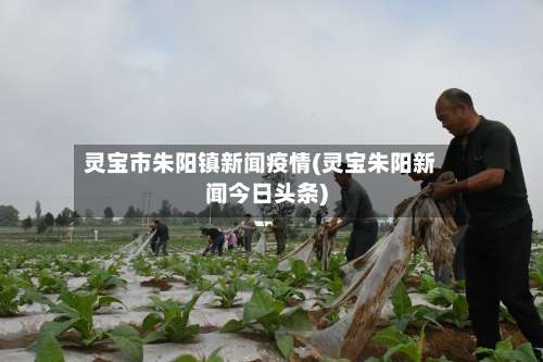 灵宝市朱阳镇新闻疫情(灵宝朱阳新闻今日头条)-第2张图片