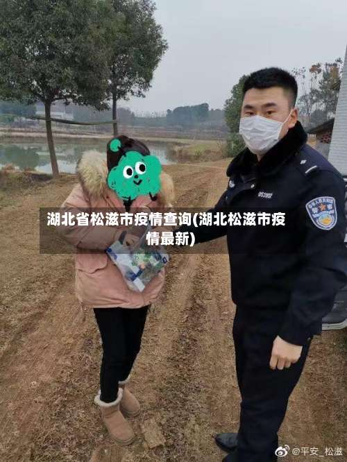 湖北省松滋市疫情查询(湖北松滋市疫情最新)-第1张图片