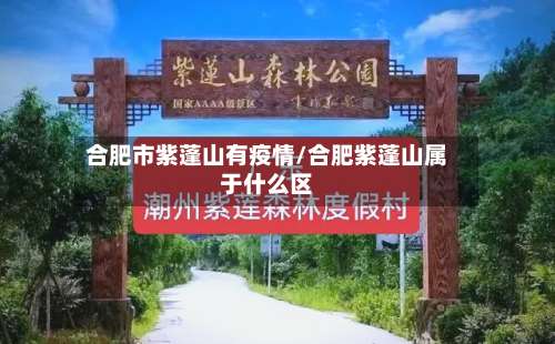 合肥市紫蓬山有疫情/合肥紫蓬山属于什么区-第3张图片