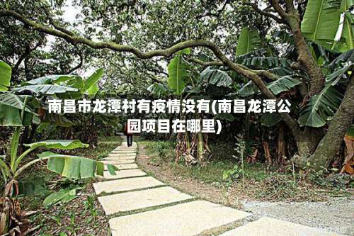 南昌市龙潭村有疫情没有(南昌龙潭公园项目在哪里)-第3张图片