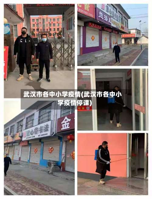 武汉市各中小学疫情(武汉市各中小学疫情停课)-第3张图片