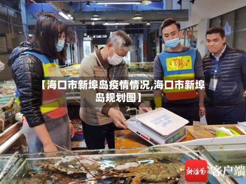 【海口市新埠岛疫情情况,海口市新埠岛规划图】-第1张图片