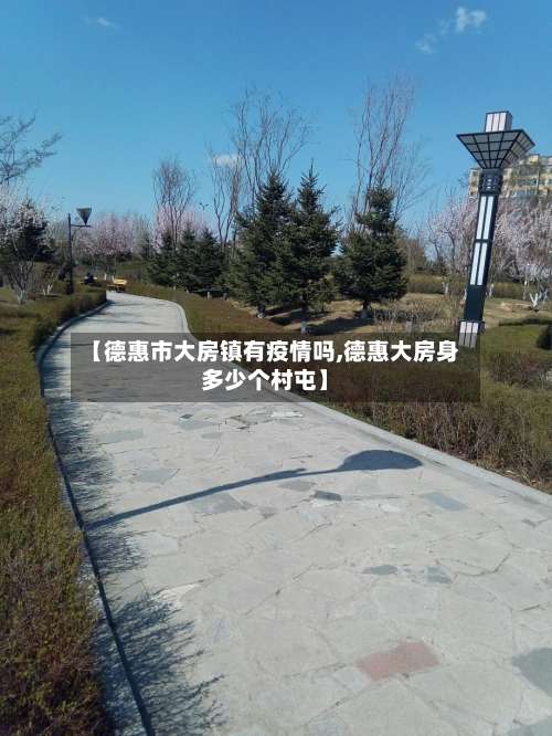 【德惠市大房镇有疫情吗,德惠大房身多少个村屯】-第2张图片