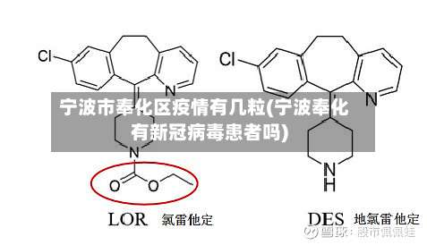 宁波市奉化区疫情有几粒(宁波奉化有新冠病毒患者吗)-第1张图片