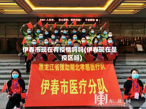 伊春市现在有疫情吗吗(伊春现在是疫区吗)-第2张图片
