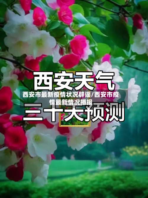 西安市最新疫情状况辟谣/西安市疫情最新情况播报-第1张图片