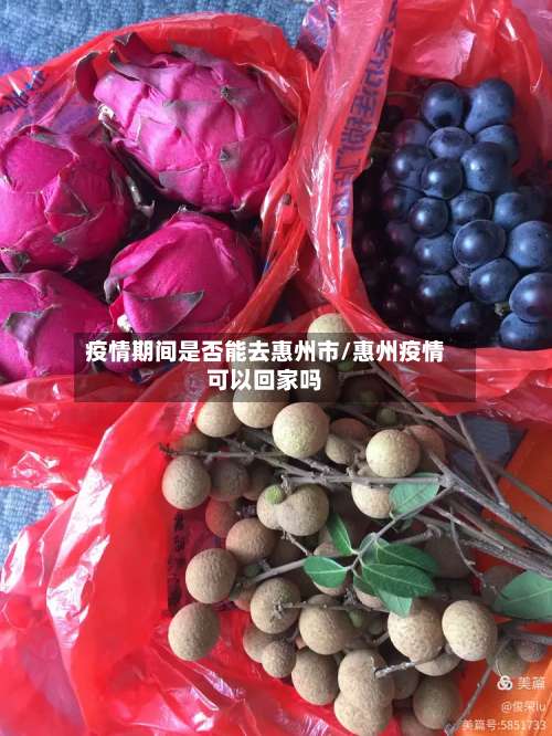 疫情期间是否能去惠州市/惠州疫情可以回家吗-第3张图片